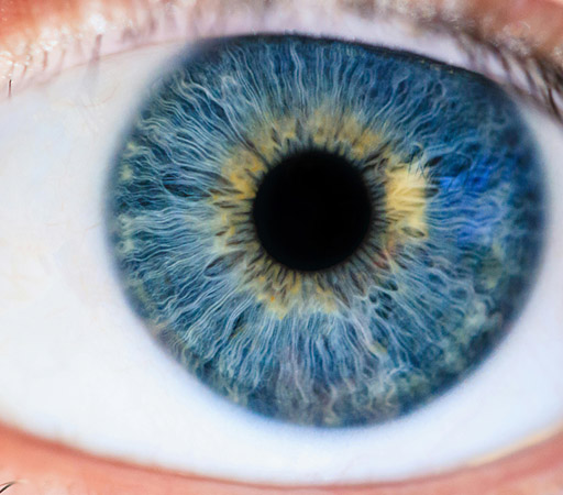 Iridology